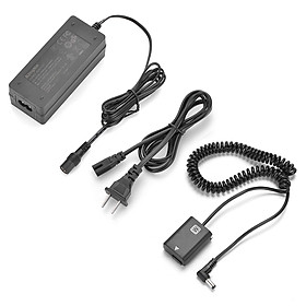 Mua Bộ pin sạc giả Kingma FW50 nguồn 220V - Hàng nhập khẩu