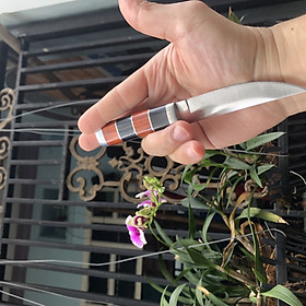 Mua Dao gọt hoa quả  có bao đựng  sắc bén  không rỉ  dễ sử dụng  tiện lợi