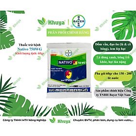 Mua Thuốc trừ bệnh Bayer Nativo 750WG Thán Thư  Đốm Lá
