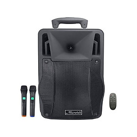 Mua Loa kéo Bluetooth Microtek MTK06R - Hàng Chính Hãng