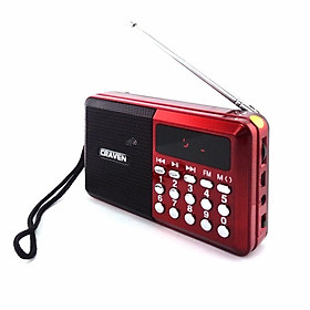 Mua Loa USB Thẻ Nhớ Nghe Đài FM RADIO Dung Pin 5C