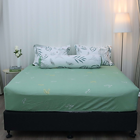 Bộ ga giường Everon Lite ELCP 201  Cotton Xanh phối trắng (4 món) - 180x200cm
