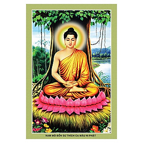 Mua Tranh Phật Giáo Thích Ca Mâu Ni Phật 2909