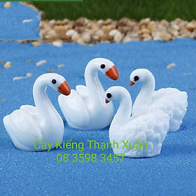 Mua Phụ kiện trang trí tiểu cảnh Thiên Nga Trắng  Đồ trang trí chậu cây cảnh  chậu cây sen đá xương rồng  Kích thước 2x2 5cm (Combo 5c)