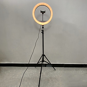 Bộ tripod, giá đỡ livestream gắn đèn Led 3 chế độ (36cm), kèm kẹp điện thoại - Hỗ trợ ánh sáng chụp ảnh, livestream, quay tiktok hiêu quả - Hàng chính hãng
