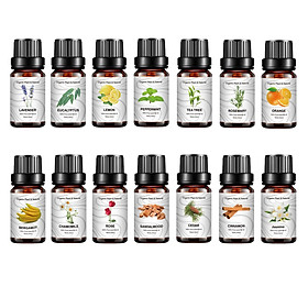 14 Bottles Essential Oils Gift Set Pure Essential Oils for Diffuser Humidifier Massage Aromatherapy Relaxation Skin &