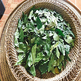 100gr lá mắc mật khô sạch hàng tuyển loại 1, lá thơm - hàng nhà làm thủ công