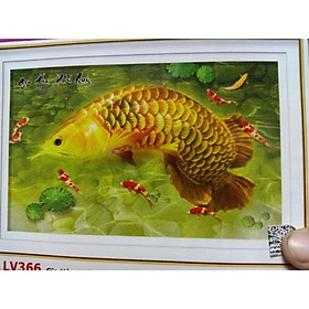 Mua Tranh đính đá Cá Rồng LV366 (115x75) chưa đính
