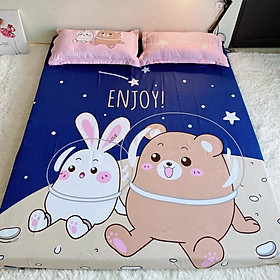 Bộ Ga Gối Cotton Tina Cho Bé Nhiều Mẫu siêu kute