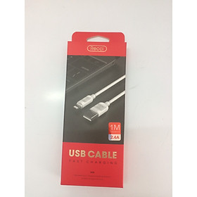 Mua Cáp Sạc Recci  Lightning 100cm RCL-Z100 – Hàng Chính Hãng