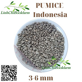 Đá Pumice Indonesia size 3-6mm (túi 300gr - 500gr -1kg) - dùng lót chậu, rải bề mặt sen đá, xương rồng, bonsai trồng cây, lọc nước bể thủy sinh, ủ phân, cải tạo đất