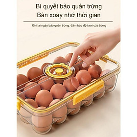 Hộp bảo quản trứng 24 ngăn Fresh&Dial nắp kín 