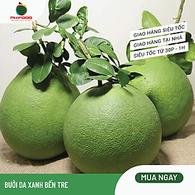 [Chỉ giao HN] - Bưởi Da Xanh Bến Tre Loại 2 - Size 1-1.2Kg