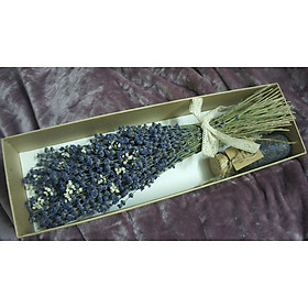 Mua Lavender Pháp 380-400 cành. Buộc gen. Tặng Hộp