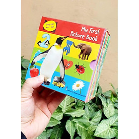 Hình ảnh Từ điển hình ảnh đầu tiên cho bé khám phá thế giới (10 cuốn) - My first picture book