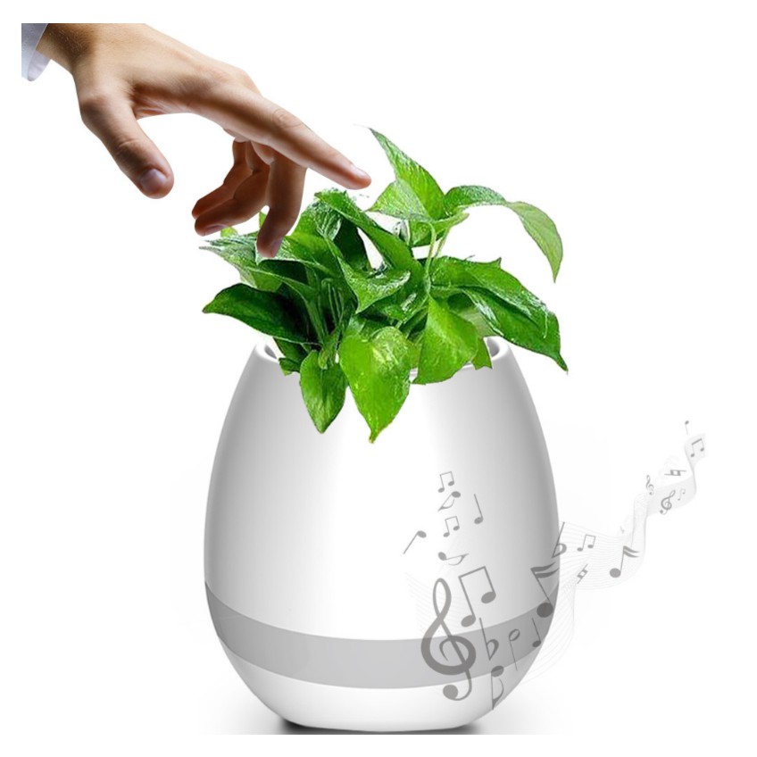 Mua Loa Bluetooth Kiêm Chậu Cây Cảm Ứng Phát Nhạc K3 Có Đèn Led RGB Chuyển Màu Theo Nhạc