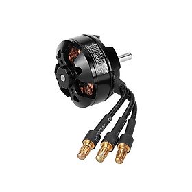 Động Cơ Không Chổi Than 4 Cực Cho Máy Bay Cánh Cố Định 2204 (1200KV)