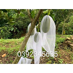 Mua 50 CÁI TÚI LƯỚI TỐT BAO BỌC TRÁI MÍT KÍCH THƯỚC 50*70cm