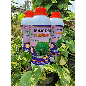 Phân bón lá MAX ROOT ĐẺ NHÁNH NỞ BỤI siêu ra rễ, đẻ nhánh, nở bụi, bung đọt chai 1 lít