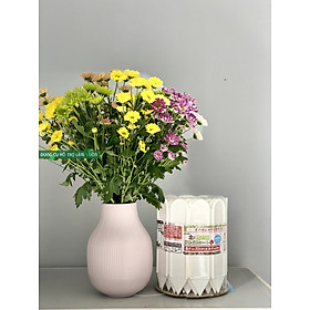 Mua HÀNG RÀO NHỰA CAO 22CM  DÀI 3 MET - TRẮNG