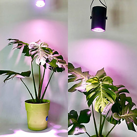 Đèn Trồng Cây Trong Nhà (Bộ Đèn Nông Nghiệp) Growlight 45W tạo ánh sáng 