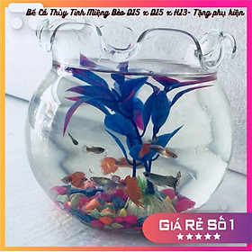 Bể Cá Thủy Tinh Hồ Cá Mini Miệng Bèo D15 x D15 x H13- Tặng phụ kiện trang trí