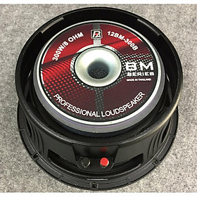 LOA RỜI PAUDIO 3 TẤC 12BM-300B (12") (1 cặp) - Hàng Chính Hãng