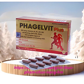 Viên uống bổ tổng hợp PHAMAGEL PLUS (PHAGELVIT PLUS) tăng cường sức khỏe Hộp 30 viên