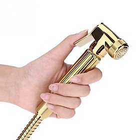 Mua xịt vệ sinh mạ vàng
