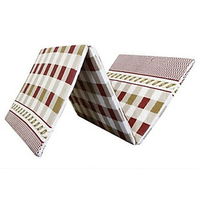 Mua NỆM PE GẤP 3 VẢI GẤM CAO CẤP - Kích thước 1m2x2mx3cm - Giao mẫu ngẫu nhiên - Nệm Êm Plus