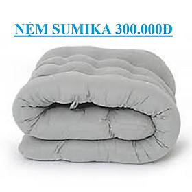 Mua Nệm   ghế xếp thư giãn 179  168  179A  168a  199