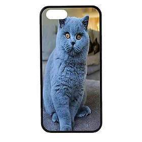 Ốp lưng cho điện thoại Iphone 5 CB 25 - Hàng chính hãng