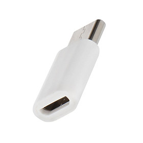 Bộ Chuyển Đổi USB Di Động 3.1 Type-C