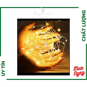 Mua Đèn led đom đóm dùng pin nháy dài 2m GuyDecor PK008