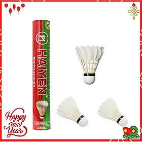 Quả cầu lông tiêu chuẩn thi đấu Yesure HY hộp xanh lá cây đỏ