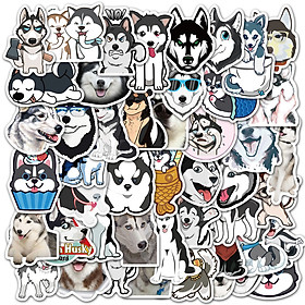 Sticker 50 miếng hình dán Husky