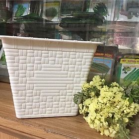 Combo 10 chậu nhựa vuông trắng giả mây Kt 18x18cm