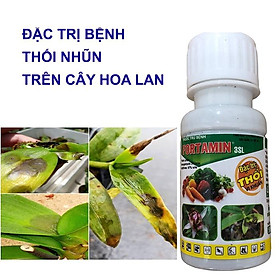 Đặc hiệu Trừ bệnh thối nhũn trên hoa lan Fortamin 3sl 50ml, trừ bệnh thối nhũn hoa lan