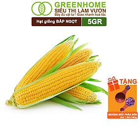 Mua Hạt Giống Bắp Ngọt  Greenhome  Gói 5GR  Dễ Trồng Quanh Năm  Nảy Mầm Cao  T29