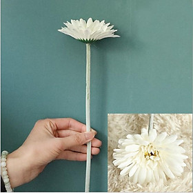 Mua Hàng loại 1-Hoa giả - Hoa đồng tiền lụa size lớn 1 bông cao 55cm trang trí nội thất  để bàn phòng khách