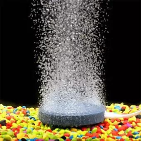 ĐĨA SỦI OXY MỊN CHO HỒ CÁ - 4CM
