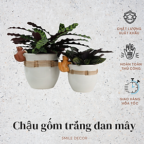 Chậu gốm sứ trắng kết hợp đan mây
