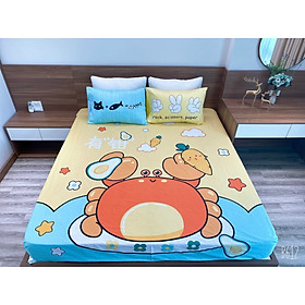 BỘ GA GỐI COTTON 100% CON CUA