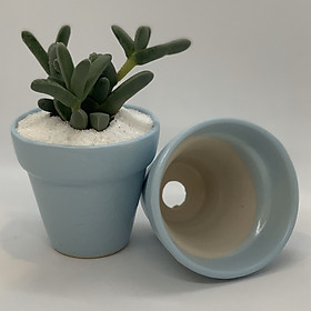 Bộ 2 Chậu Sứ - 7x7x7 Cm - Mầu Xanh Biển - Dáng Trôn Ốc - Chậu Gốm Bát Tràng Trồng Cây Mini Để Bàn, Tiểu Cảnh Terrarium, Sen Đá & Xương Rồng