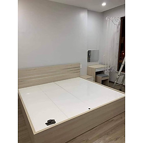 Giường Ngủ Hiện Đại - HC244 - Giường 1m6