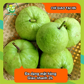 [CHỈ GIAO HN] Ổi lê - 1KG