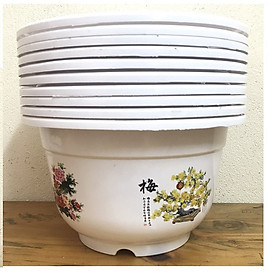 Combo 10 Chậu Nhựa BỐN MÙA Hình Tròn Màu Trắng Mã A250, KT 23x21