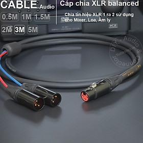 Mua Cáp chuyển jack canon cái sang 2 canon đực - DIY XLR female to 2 male splitter cable