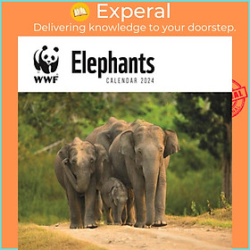 Sách - WWF Elephants Square Wall Calendar 2024 by  (UK edition, paperback)