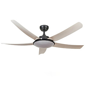 Mua Quạt trần đèn phòng khách đẹp hiện đại - HLFAN-802T